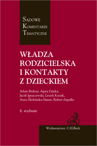 Władza_rodzicielska_i_kontakty_z_dzieckiem.png
