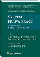 System prawa pracy. TOM IV. Indywidualne prawo pracy. Pozaumowne stosunki pracy